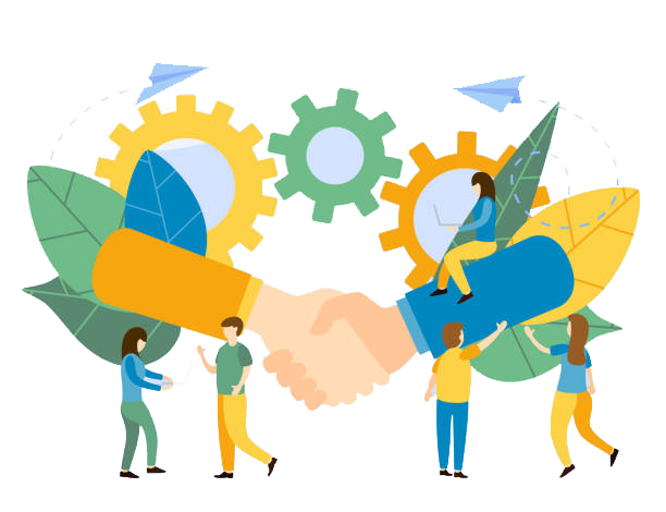 structure and management